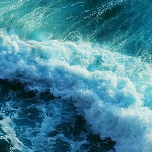 Meet your Posher, Rutherford